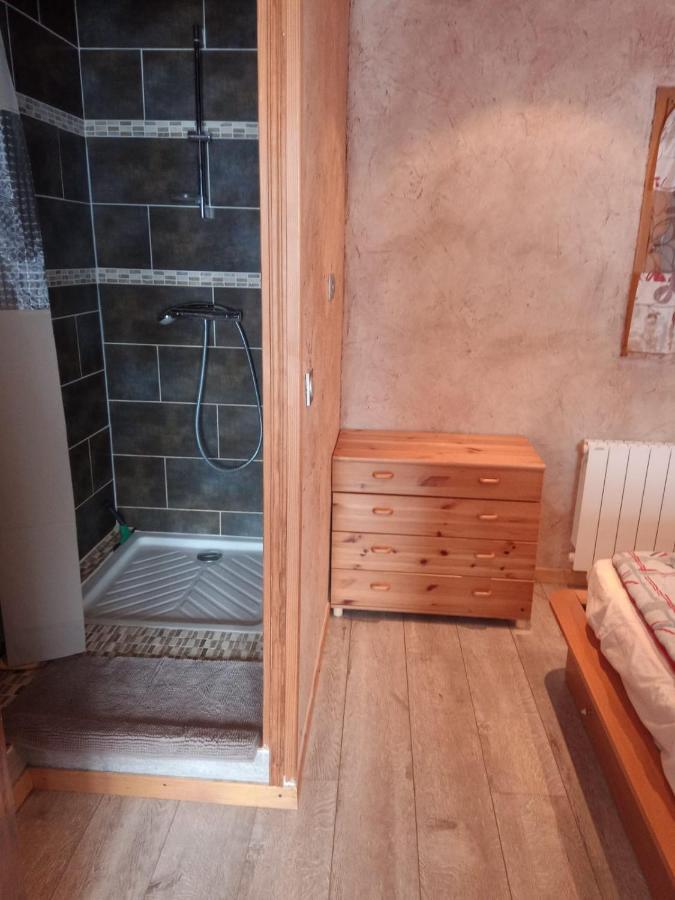 Appart La Porte Des Neiges - Saint Jean De Sixt Kültér fotó